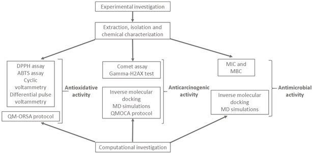 graphical abstract